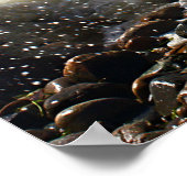 CedarTreeNeck16x20 Poster (Ecke)