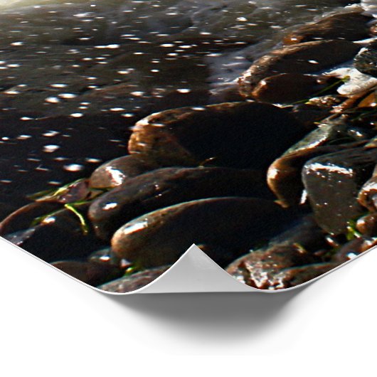 CedarTreeNeck16x20 Poster (Ecke)