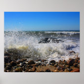 CedarTreeNeck16x20 Poster (Vorne)