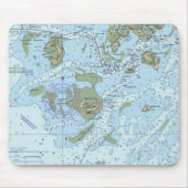 Ceder befestigt Floridaseediagramm Mausunterlage Mousepad (Vorne)