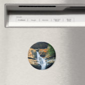 Ceder Falls, Hocking Hills Ohio Magnet (In Situ (Geschirrspüler))