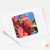 Ceibo Quadratischer Aufkleber (Umschlag)