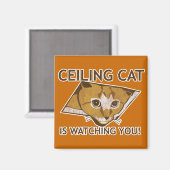 Ceiling Cat beobachtet dich! Magnet (Vorderseite/Rückseite)