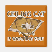 Ceiling Cat beobachtet dich!