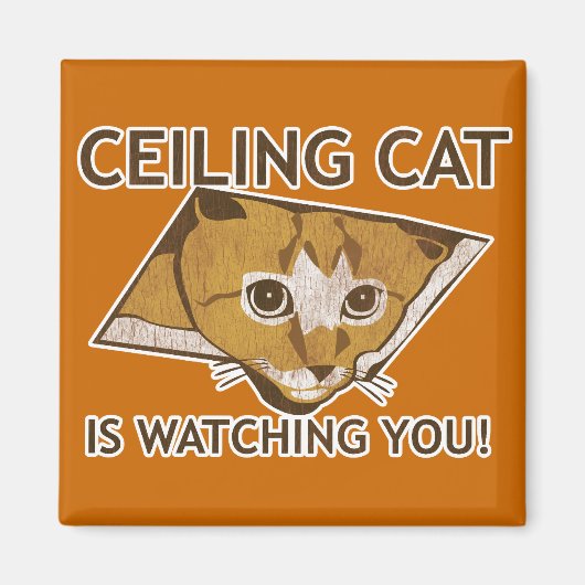 Ceiling Cat beobachtet dich! Magnet (Vorne)