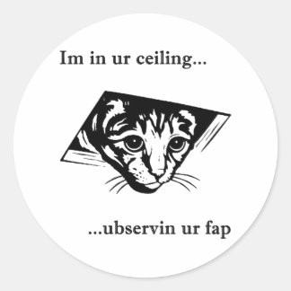 Ceiling Cat ubservin u... Runder Aufkleber