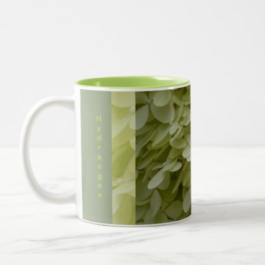 Celadon Green Hydrangea Blüten Zweifarbige Tasse (Links)