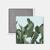 Celadon Palms Magnet (Vorderseite/Rückseite)