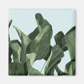 Celadon Palms Magnet (Vorne)