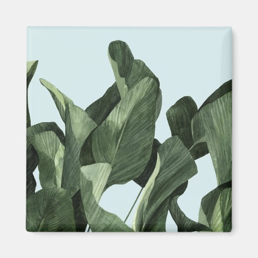 Celadon Palms Magnet (Vorne)