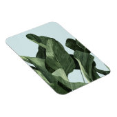 Celadon Palms Magnet (Rechte Seite)