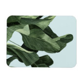 Celadon Palms Magnet (Horizontal)