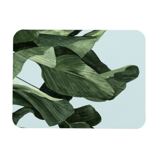 Celadon Palms Magnet (Horizontal)