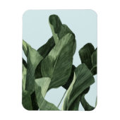 Celadon Palms Magnet (Vertikal)