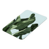 Celadon Palms Magnet (Linke Seite)
