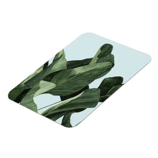 Celadon Palms Magnet (Linke Seite)