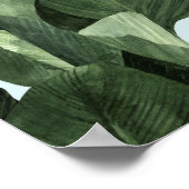 Celadon Palms Poster (Ecke)
