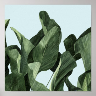 Celadon Palms Poster