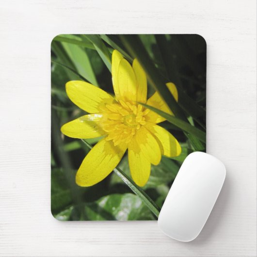 Celandine Mousepad (Mit Mouse)