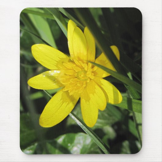 Celandine Mousepad (Vorne)