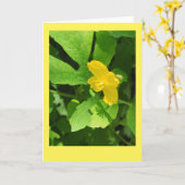Celandine Poppy Blank Note Card Karte (Gelbe Blume)