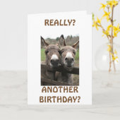 CELEBRATE BIRTHTAG, AUFMERKSAMKEIT FRAGE MULES? KARTE (Gelbe Blume)