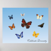 Celebrate Diversity Poster (Vorne)