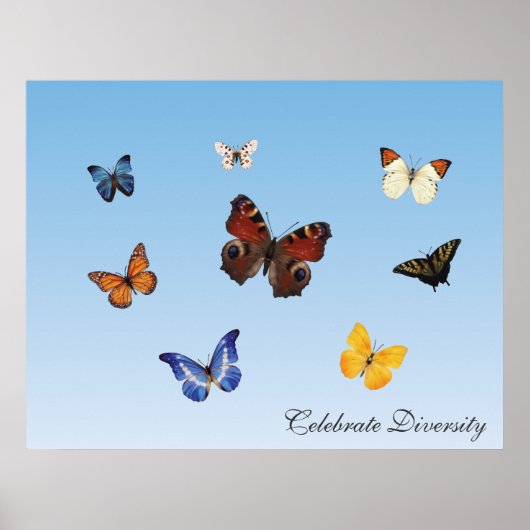 Celebrate Diversity Poster (Vorne)