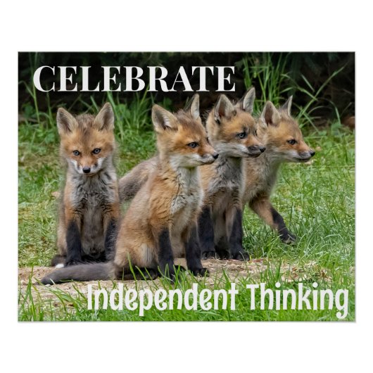 Celebrate Independent Thinking Foxes Poster (Vorderseite)