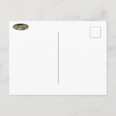 Celebrate Independent Thinking Foxes Postkarte (Rückseite)