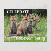Celebrate Independent Thinking Foxes Postkarte (Vorderseite)