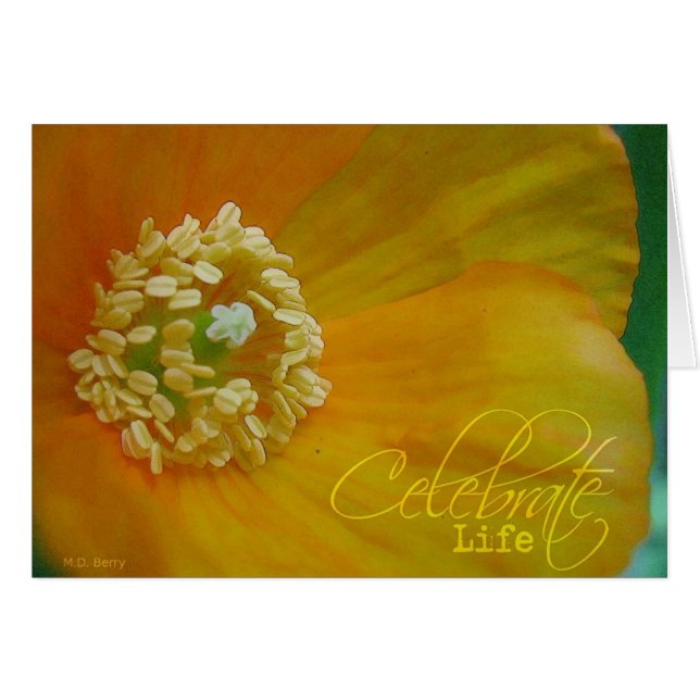 Celebrate Life (Vorderseite (Horizontal))