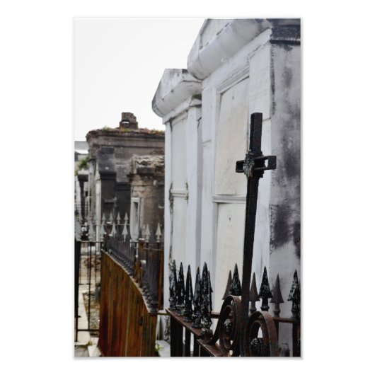 Celebrate Life Fotodruck (Vorne)