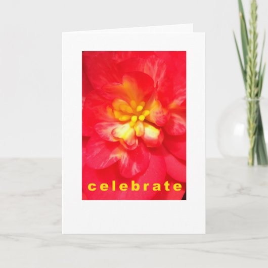 Celebrate Occasion Card Karte (Vorderseite)