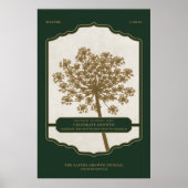 CELEBRATE WACHSTUM - Werteplakat (Matte) Poster (Vorne)