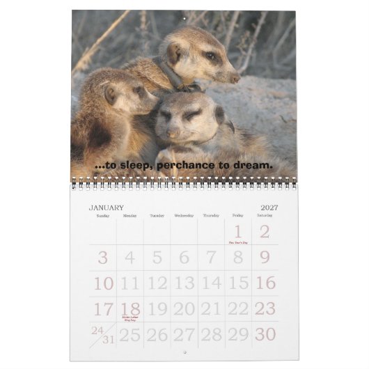 Celebrate Zaphod - Kalender (Jan 2027)