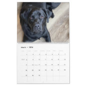 Celebrating Black Labs Labrador Dog Calendar 2026  Kalender (Mär 2026)