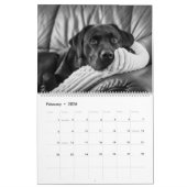Celebrating Black Labs Labrador Dog Calendar 2026  Kalender (Feb 2026)