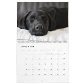 Celebrating Black Labs Labrador Dog Calendar 2026  Kalender (Jan 2026)