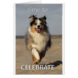 Celebration Card mit australischer Hirte