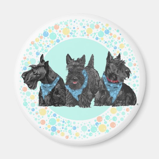 Celebration Scotties Multi-Color Magnet (Vorne)