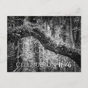 Celebration Wilds Feiertagspostkarte