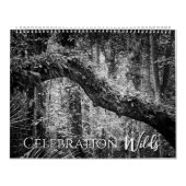 Celebration Wilds Kalender (Titelbild)