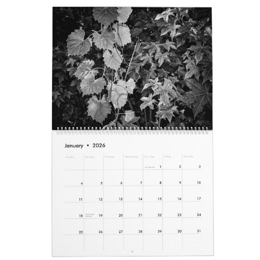 Celebration Wilds Kalender (Jan 2026)