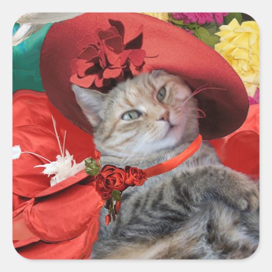 CELEBRITY CAT PRINCESS TATUS MIT RED HUT QUADRATISCHER AUFKLEBER (Vorderseite)