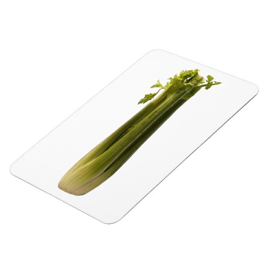 Celery Foto Magnet (Linke Seite)