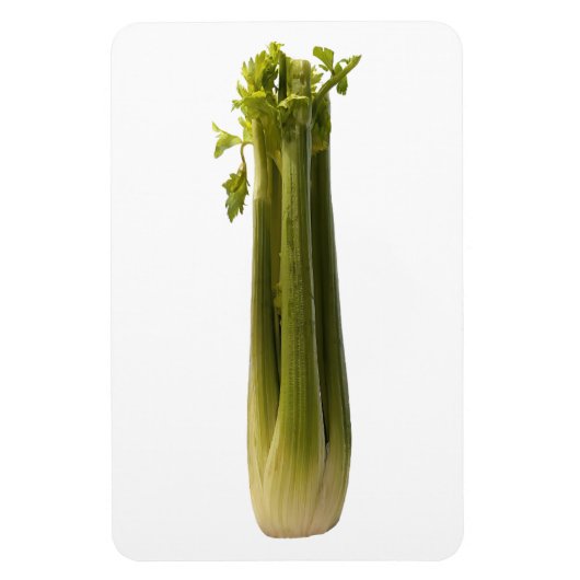 Celery Foto Magnet (Vertikal)