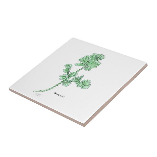 Celery Leaf Art Fliese (Seite)