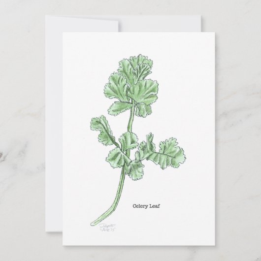 Celery Leaf Einladung (Vorderseite)