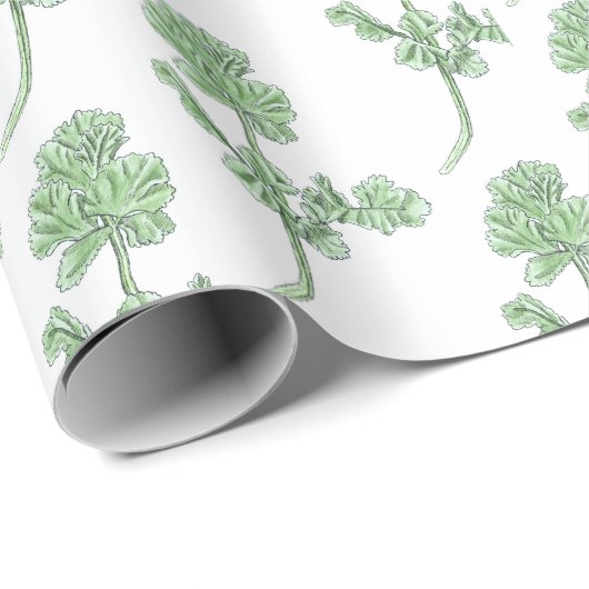 Celery Leaf Geschenkpapier (Rolleneckpunkt)